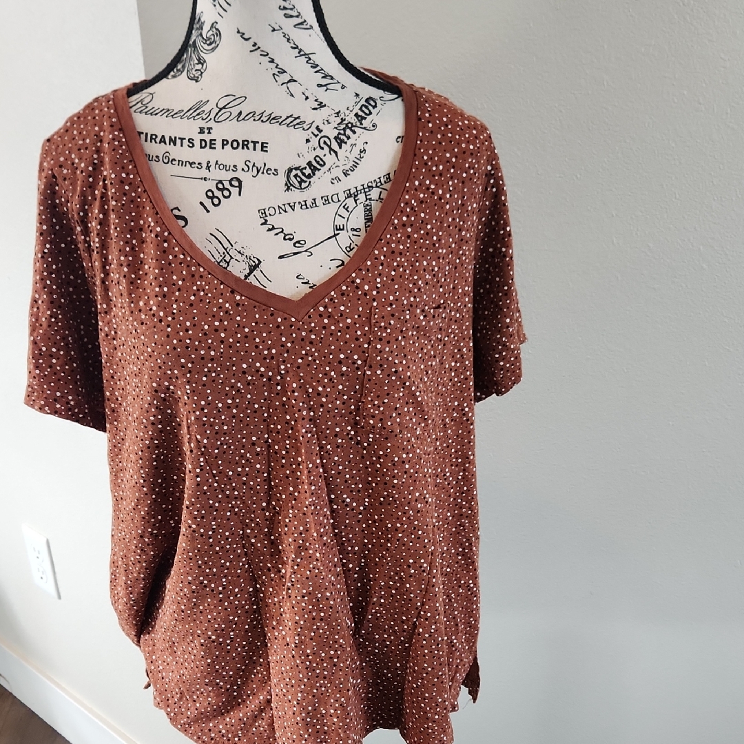 Dip Brown Short Sleeve V-Neck Top